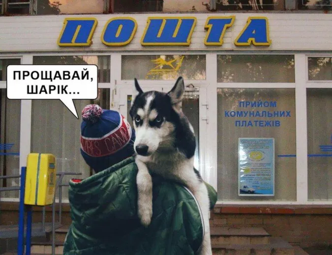 «Нафтогаз» просить людей не розраховуватися за «комуналку» собаками й котами