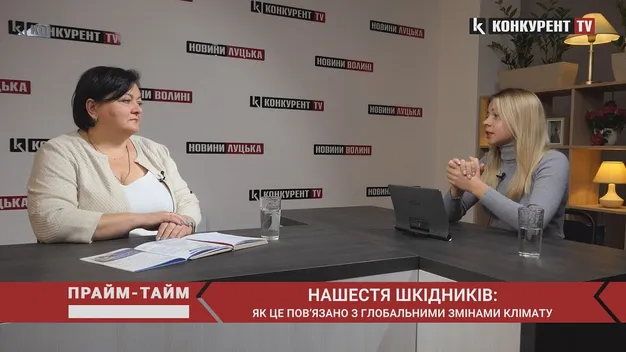 Чому у Луцькій громаді нашестя шкідників і як це пов'язано зі зміною клімату. Прайм-Тайм з Оксаною Лисак (відео)