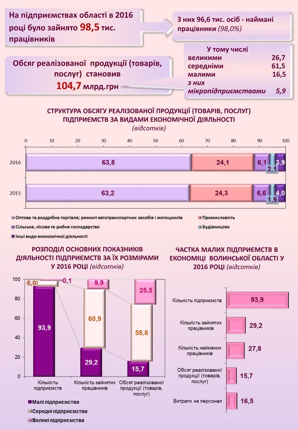 Бізнес на Волині в цифрах (інфографіка)