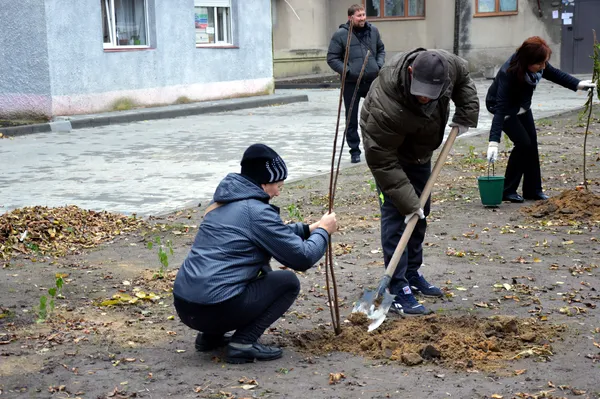 «Будуємо спільне майбутнє»: у луцьких дворах посадили дерева