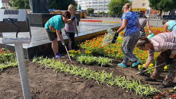 Скільки цього року витратять на озеленення Луцька (відео)