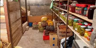 Щоб картопля не гнила, а яблука не псувалися: як підготувати льох до зими