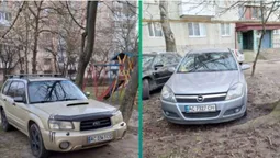 У Луцьку паркохамів оштрафували за знищені зелені зони (фото)