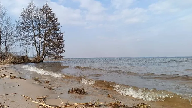 Їжачки, грибочки та квіти: якою є весна у нацпарку на Волині (фото)
