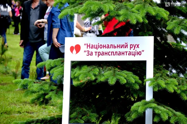 У Луцьку з’явилася «Алея життя», висаджена людьми з донорськими органами (фото)