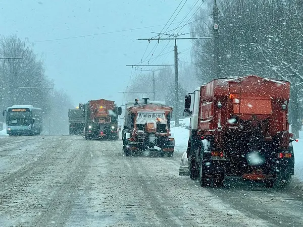 Луцьк засипає снігом: водіїв просять не лишати авто на узбіччі (фото)