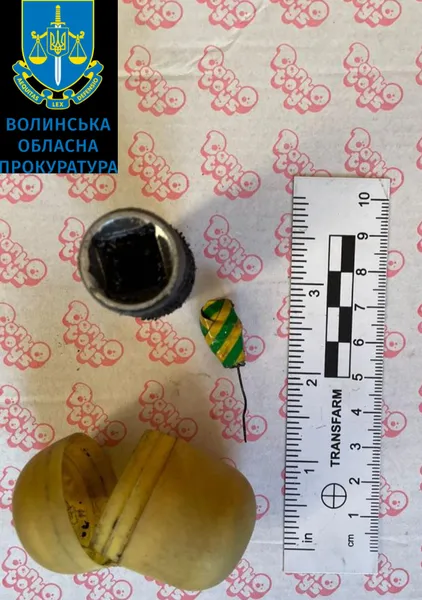 19-річний волинянин торгував канабісом – його судитимуть (фото)
