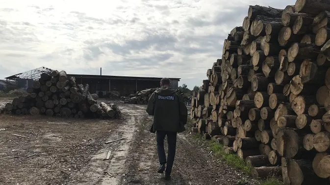 На Волині арештували понад 600 кубів незаконної деревини (фото, відео)