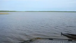 Волиняни і білоруси ділять озеро: 700 гектарів водойми розгорнулися на кордоні двох країн (фото)
