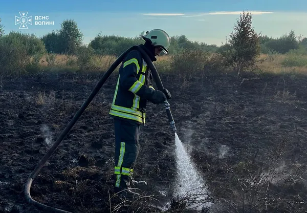На Волині горять торфовища: вогонь охопив майже гектар території (фото)