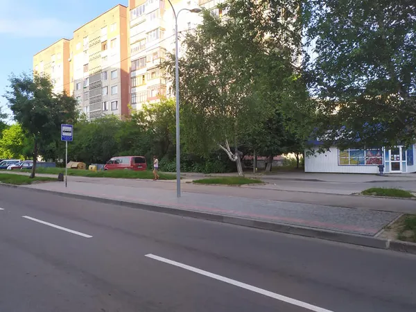 У Луцьку замість болота облаштували пішохідний перехід (фото)