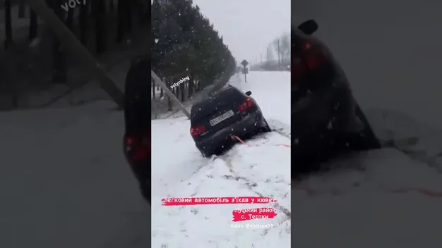 На Волині автомобіль злетів з дороги (відео)