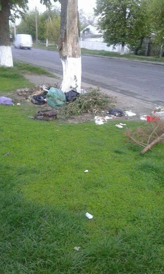 Сміття з Володимирської вивозитимуть за графіком (фото)