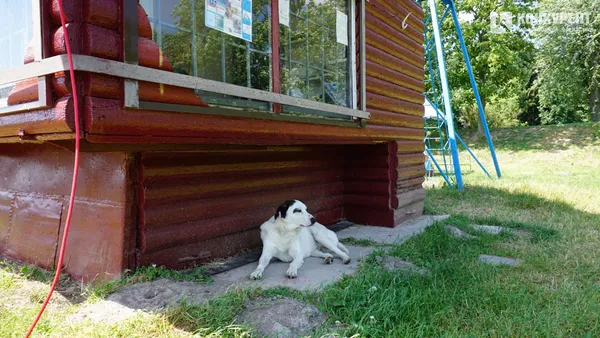 Рятувальники у Луцьку нагадали, як вижити у воді (фото)