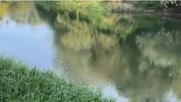 З'їхали з траси – і до самої води: біля Луцька показали рибне місце (відео)