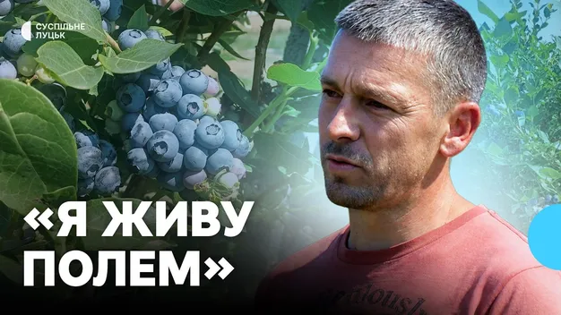 Після поранення на фронті ветеран з Волині започаткував ягідний бізнес (відео)