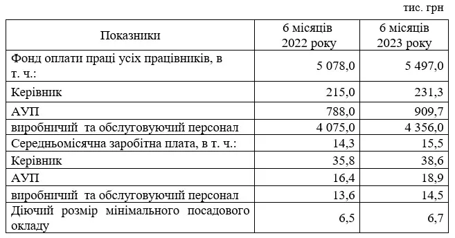 Скриншот зі звіту підприємства