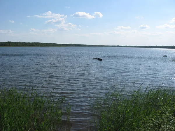 На Волині причаїлось «мутне» озеро з цінним мулом та незайманою природою (фото)