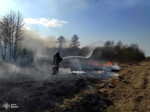 На Волині вигоріло понад 5 гектарів сухостою (фото)