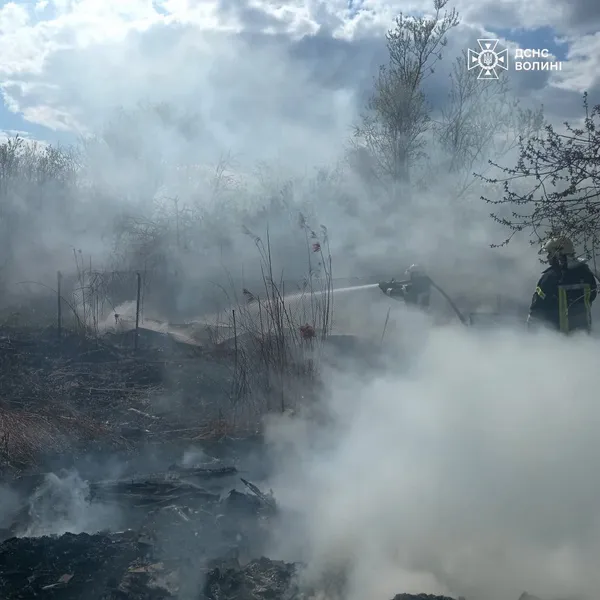На Волині знову палала суха трава: вогонь охопив понад 3 гектари території (фото)