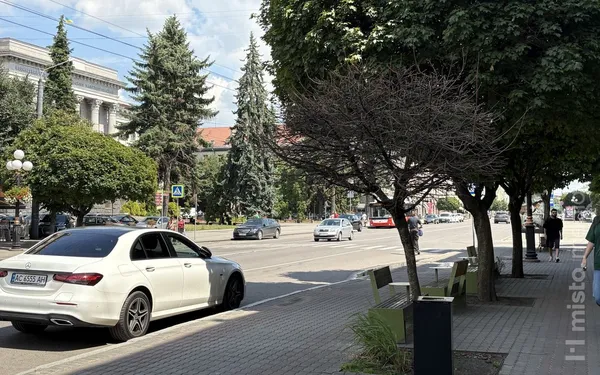 Через спеку в Луцьку всихають клени на проспекті Волі (фото)