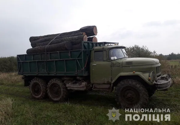 Трактор із сосною та ЗІЛ із дубом: на Волині знайшли деревину без документів (фото)