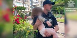 Сиділа біля відчиненого вікна: у Луцьку з підвіконня зняли маленьку дитину (відео)