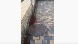 У Луцьку біля стадіону «Авангард» порізали двох людей (відео)