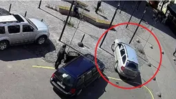 Встановили, хто у Луцьку зламав деревце (відео, оновлено)