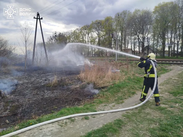Горіли суха трава, чагарники й очерет: на Волині загасили 5 пожеж (фото)