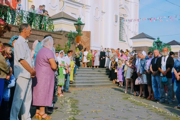 Доріжка, всіяна квітами