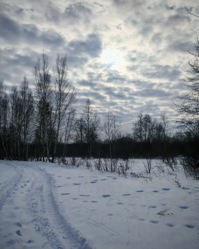 Хто наслідив у нацпарку на Волині (фото)