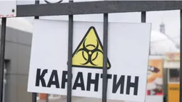 Луцькі муніципали "відхрестилися" від листів-попереджень підприємцям