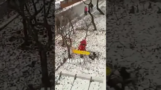 У Луцьку жінка випала з 9-го поверху (відео 18+)