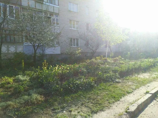 Ні дня без демонтажів: у Луцьку знову знесли паркани (фото)