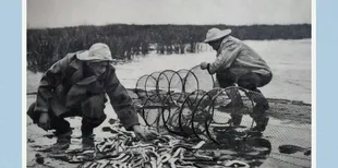 «Золота епоха» Світязя: у мережі показали, як колись на Волині виловлювали тонни вугра