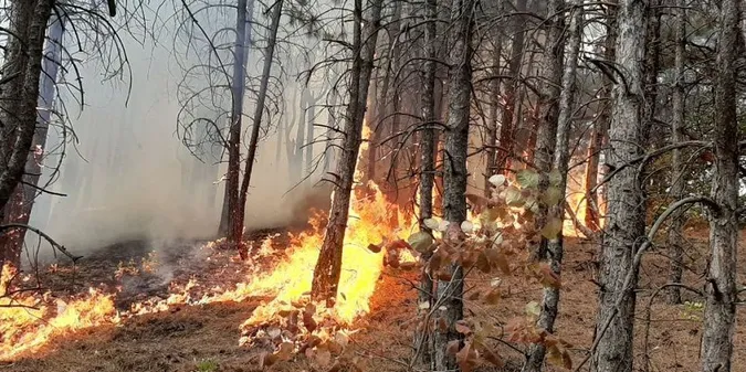 Фото ілюстративне