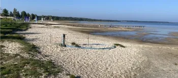 Вода відступила на 70 метрів: показали, яким став Світязь (фото)