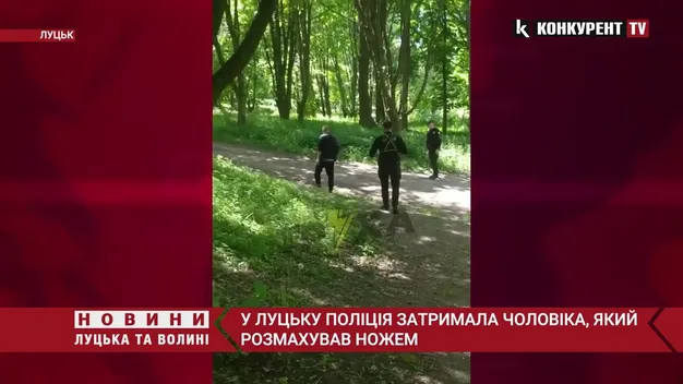 «Махав ножем і кидався на людей»: у Луцьку затримали неадеквата (відео)