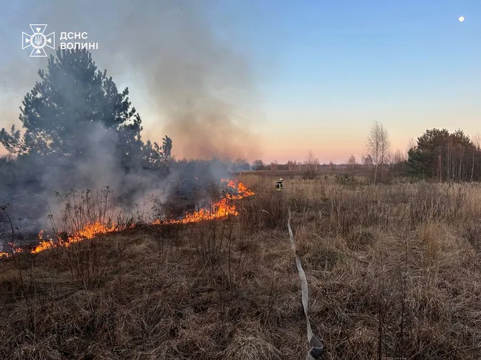 На Волині – масштабні пожежі в екосистемах: в чому причина (фото)
