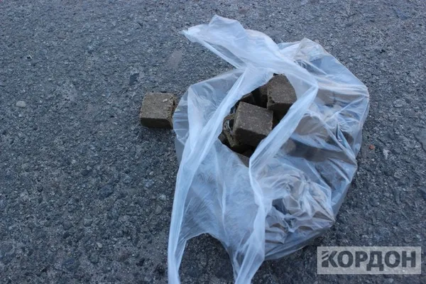 Обережно, сказ: на Волині почалась вакцинація диких тварин (фото)
