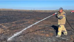 Масштабна пожежа на Волині: з вечора горить торфовище (фото)