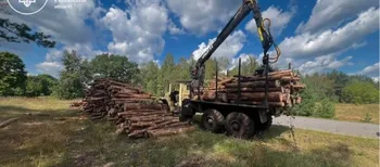 На Любомльщині серед лісу помітили 70 м³ «лівої» деревини (фото)