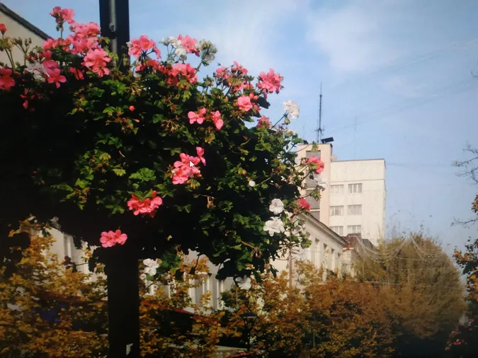 «Теплі» світлини: який він жовтогарячий осінній Луцьк