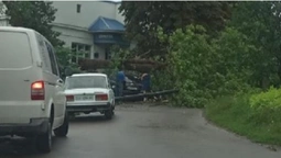 Зірвана покрівля та повалені дерева: у Володимирі бушує негода (фото, відео)