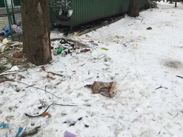 Лучанка поскаржилася на жахливу антисанітарію на окрузі Поліщука (фото)
