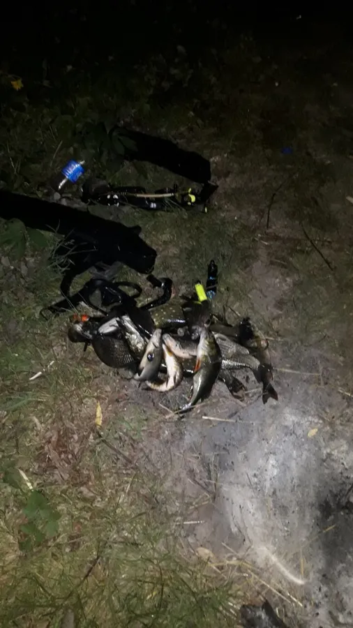 Волинян покарають за вилов риби сіткою (фото)