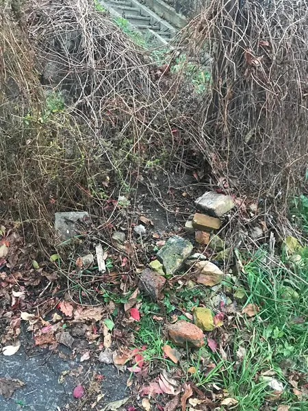 У Луцьку муніципали надибали на молодика, який саме робив «закладки» (фото)