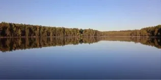 Острів, який зник під водою, і «гліцеринова» вода: чим дивують три озера Полісся (фото)