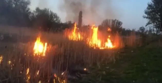 У Ківерцях підпалили очерет: відомо, хто це зробив (відео)